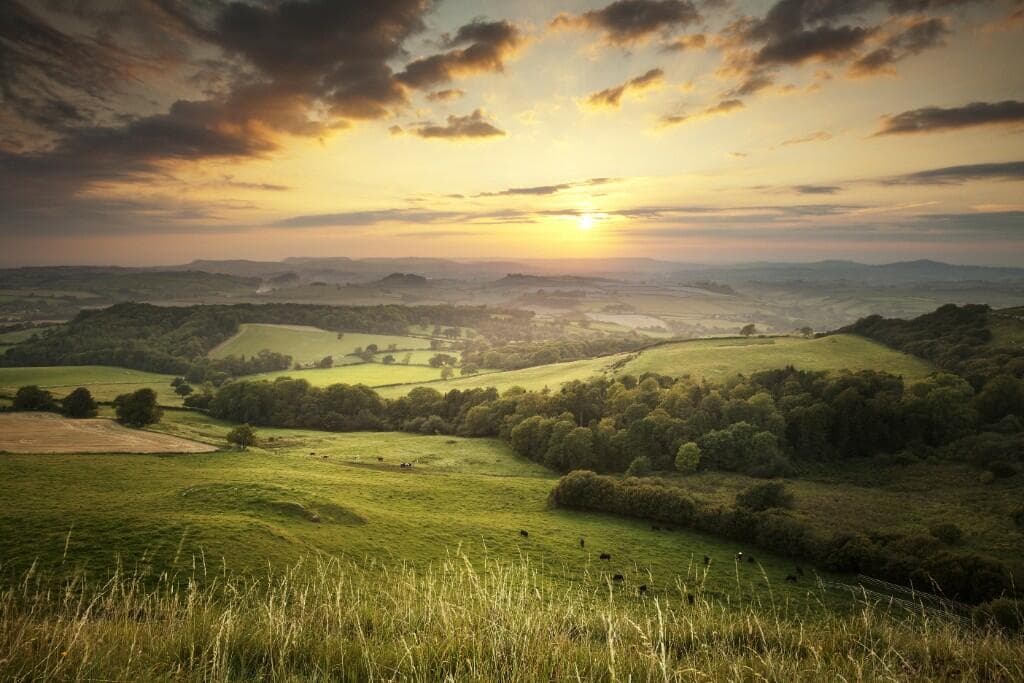 Dorset Countryside