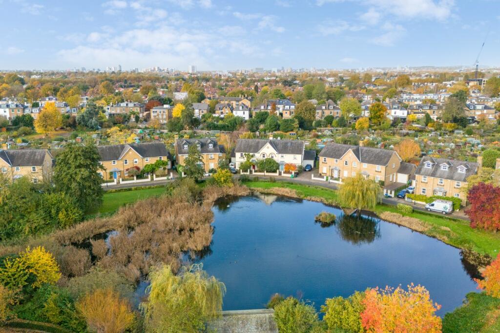 Pond View