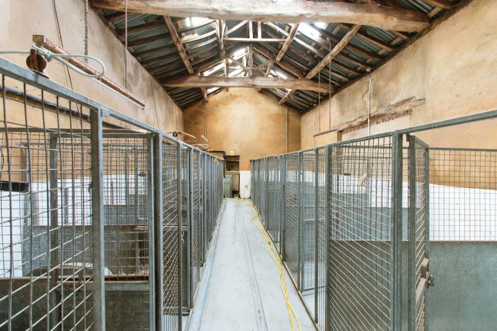 Kennels