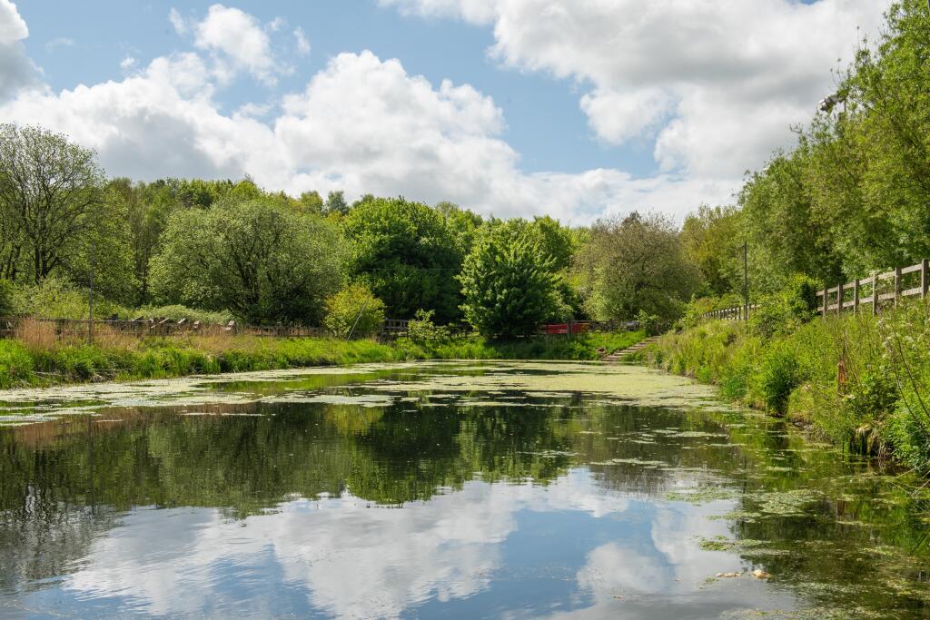 Local area for Waldmers Wood