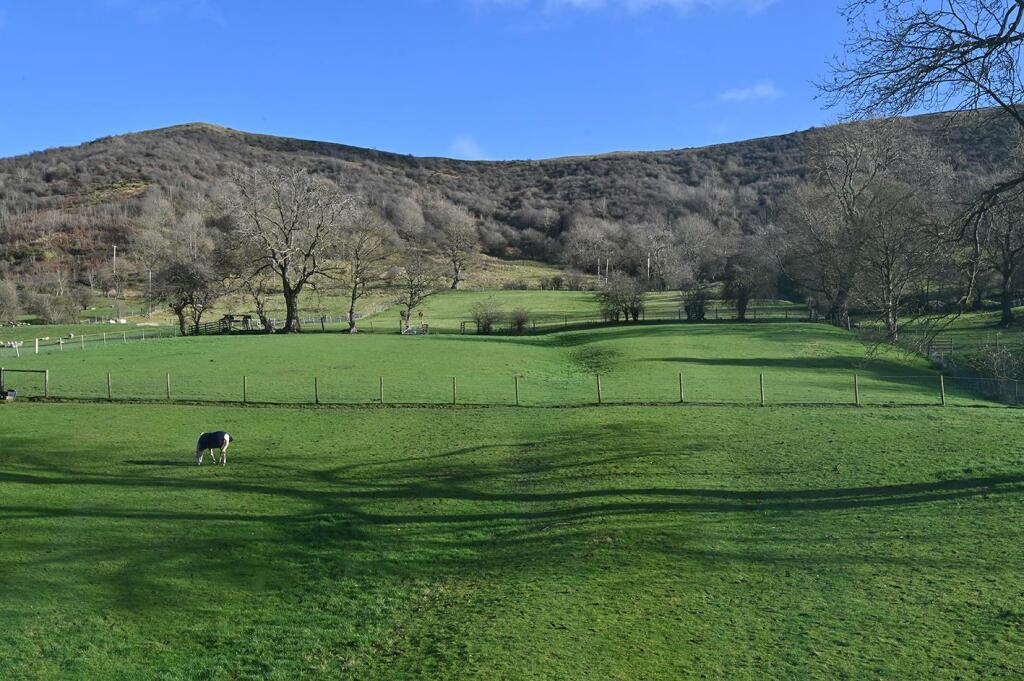 Countryside Views