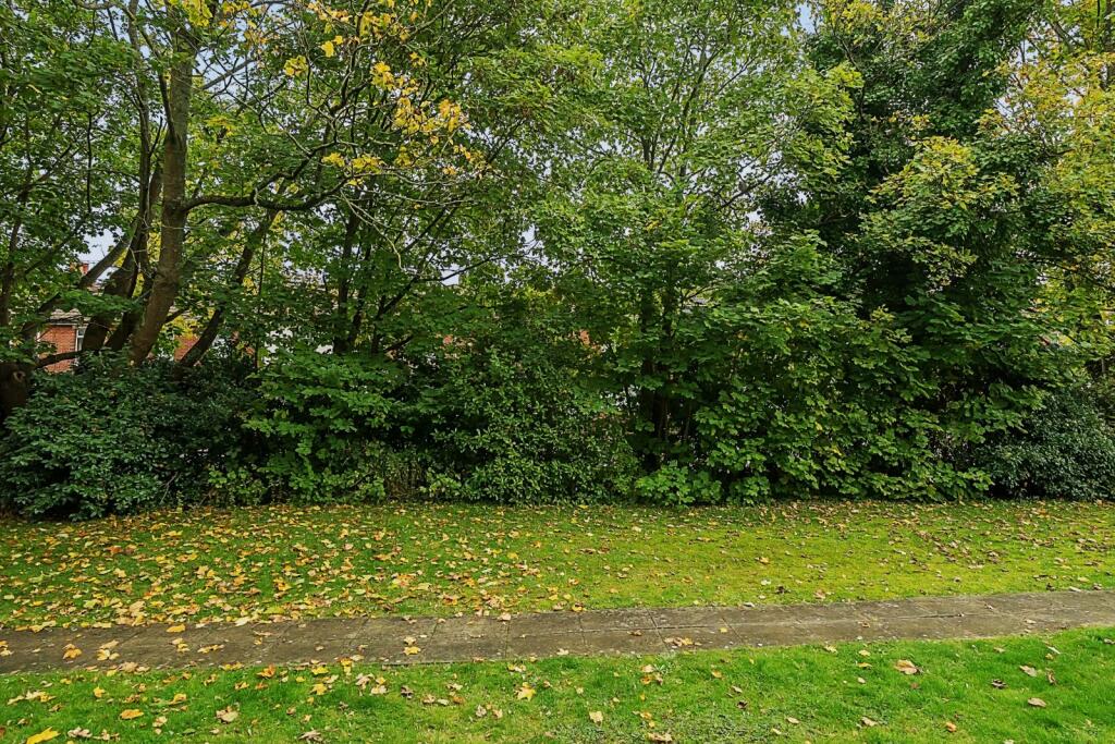 Communal Garden