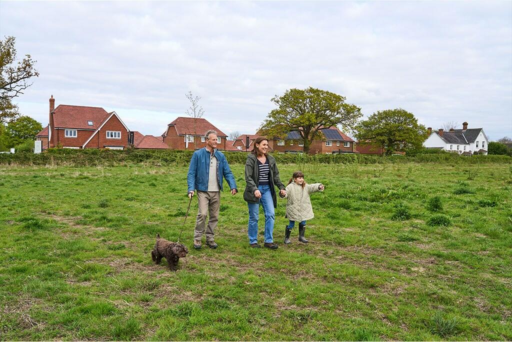 Horsley Meadows