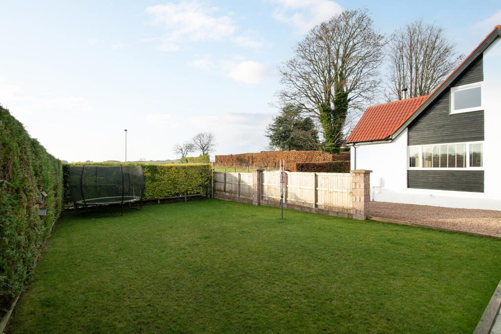 South Facing Garden