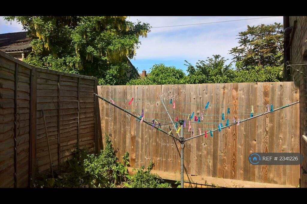 Bright Courtyard Garden