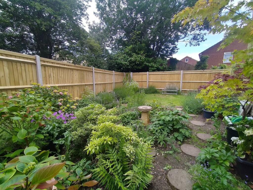 Garden 3.jpg