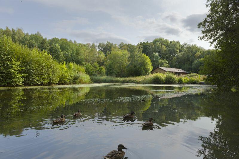 Coldeast nature reserve 