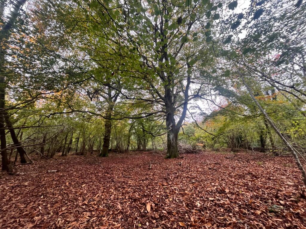 Land At Petworth, Ides Common, Eartham