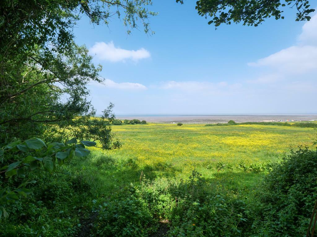 View From The Rear Garden