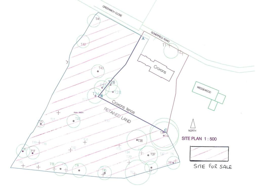 Whole Site Plan 2.jpg