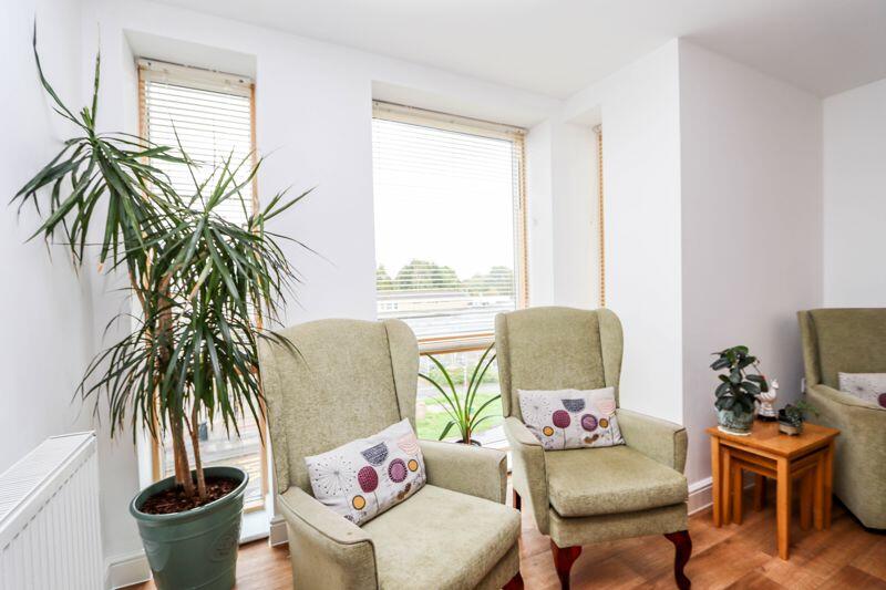 Windows in Sitting Room