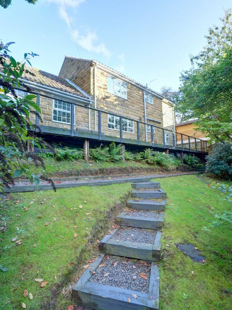 Back Garden Steps 