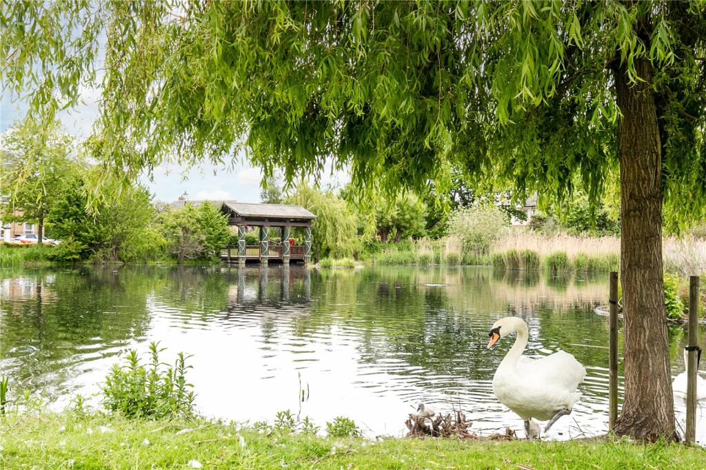 Wetlands