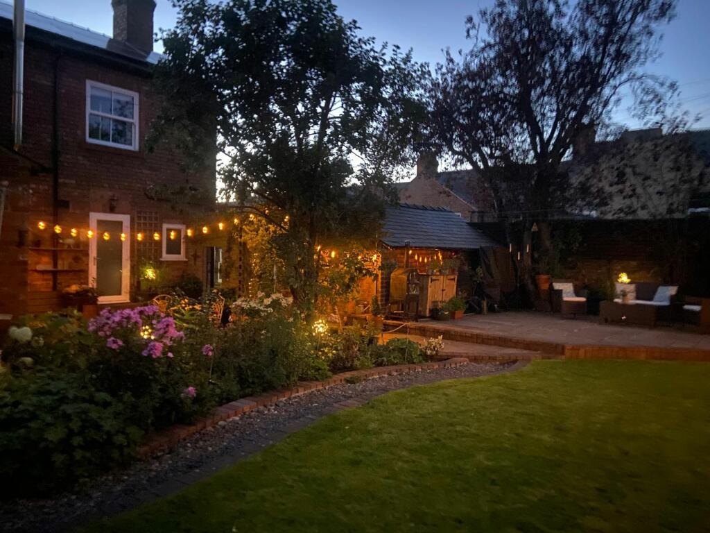 Garden at night