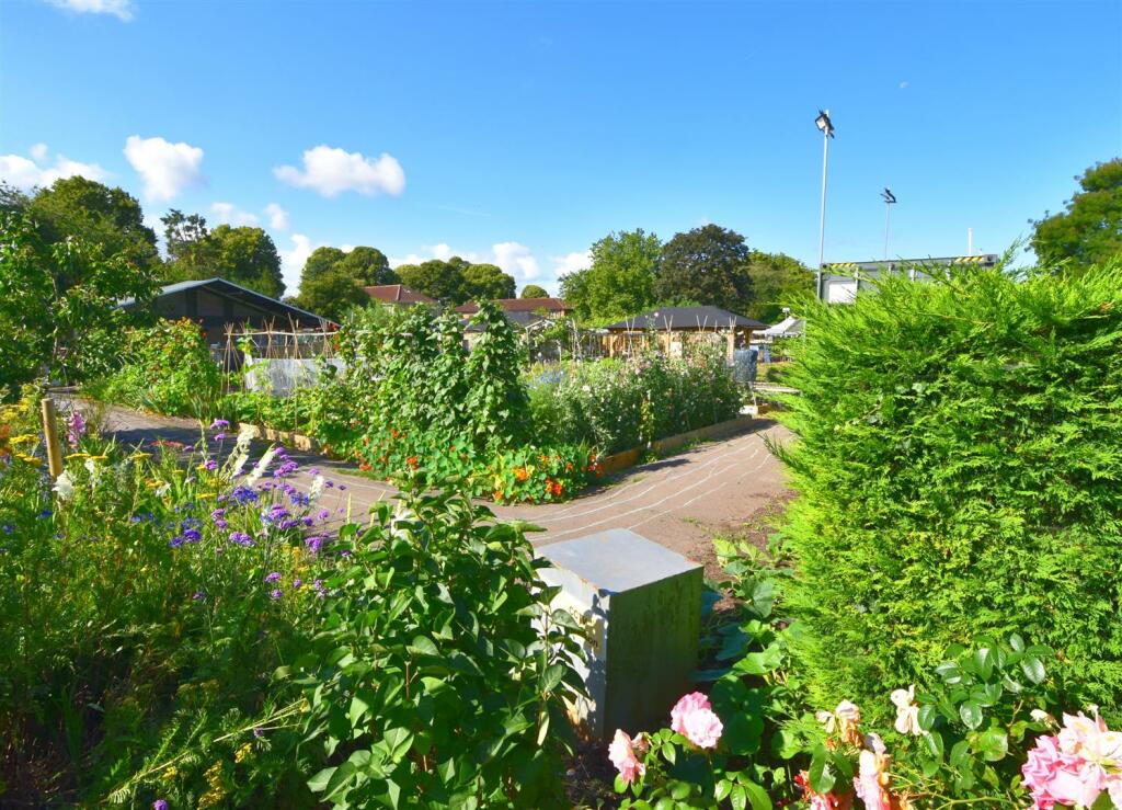 Redcatch community garden.jpg