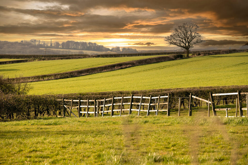 Brinsley sunset