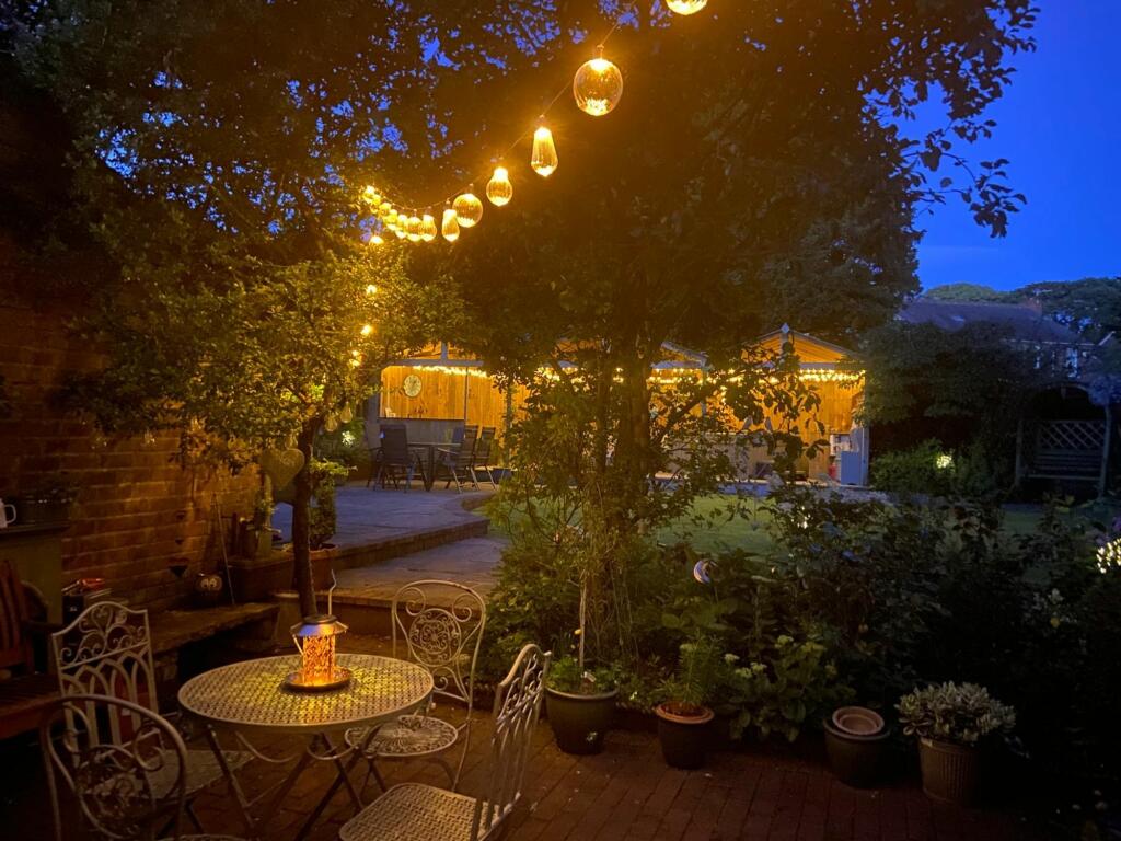 Garden at night