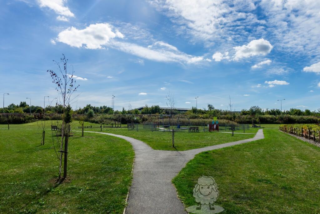 Adjacent Park and Green Space