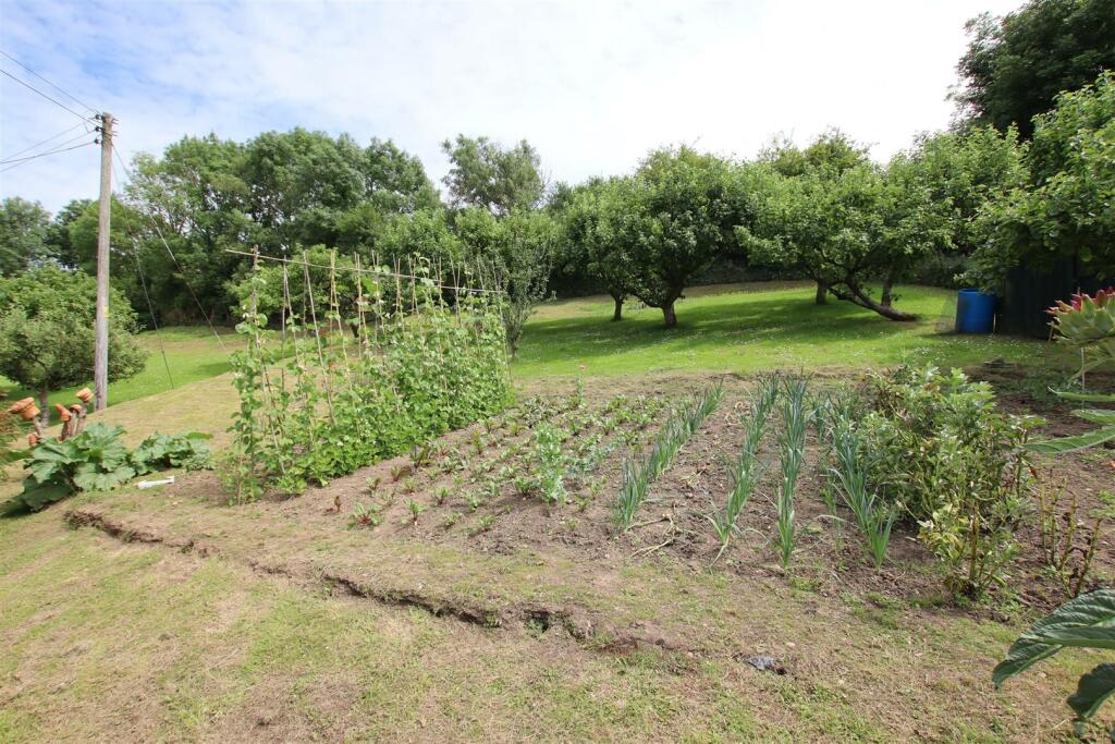 Vegetable Garden.JPG