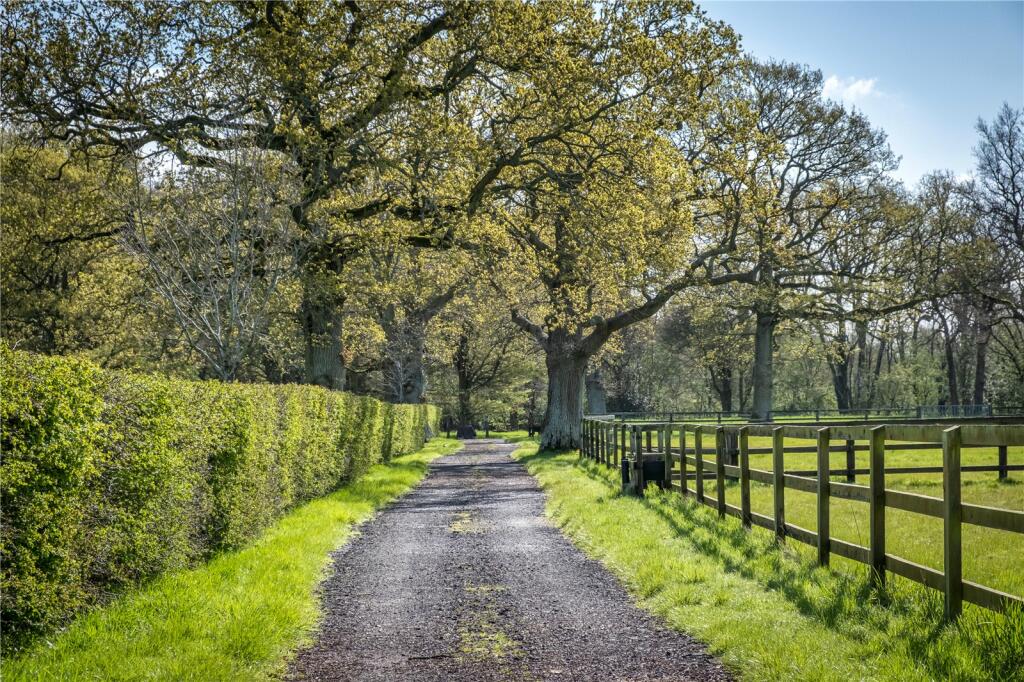 Driveway