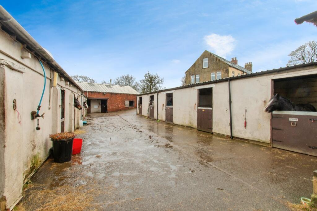 Stables