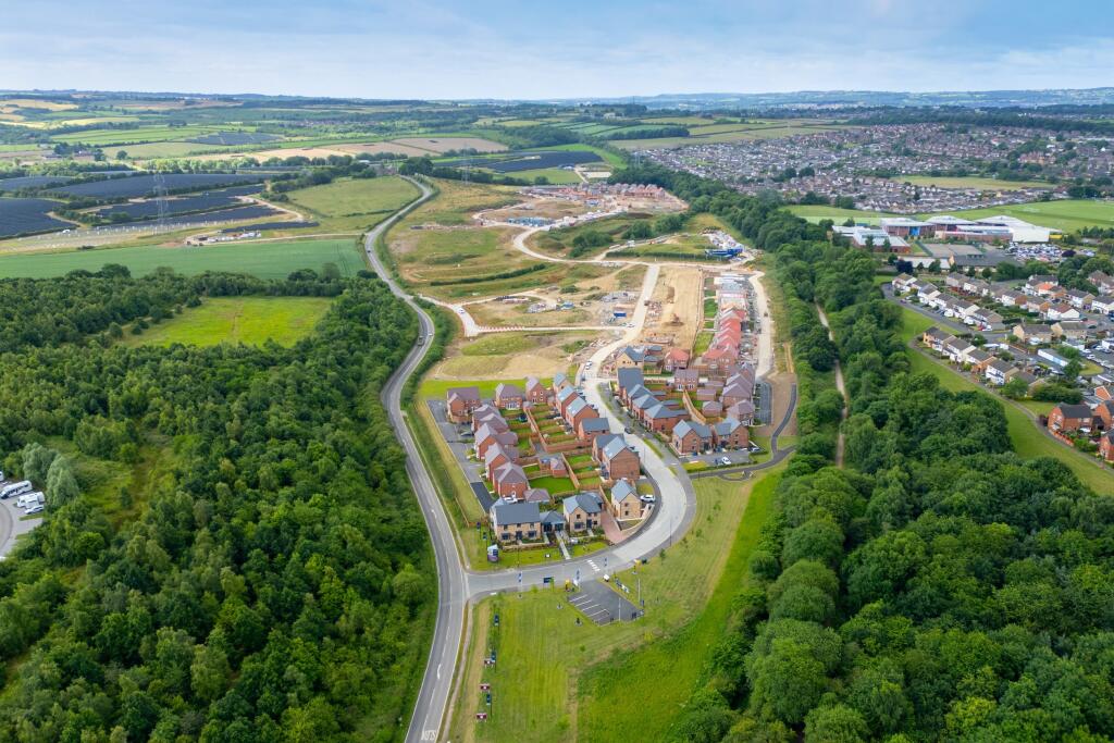 Drone image of Bluebell Meadows