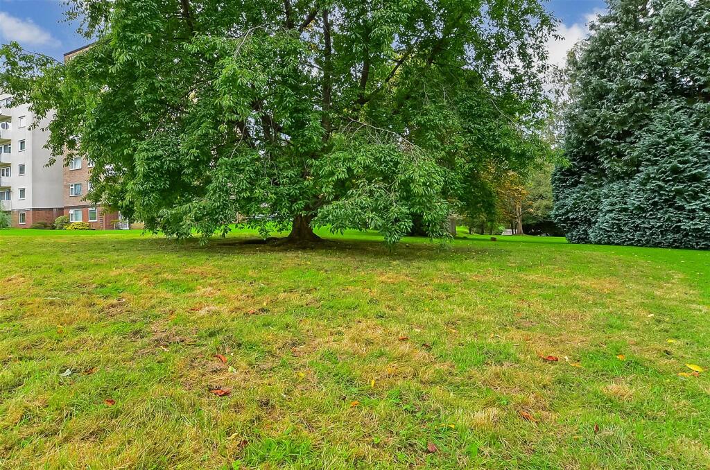 Communal Gardens