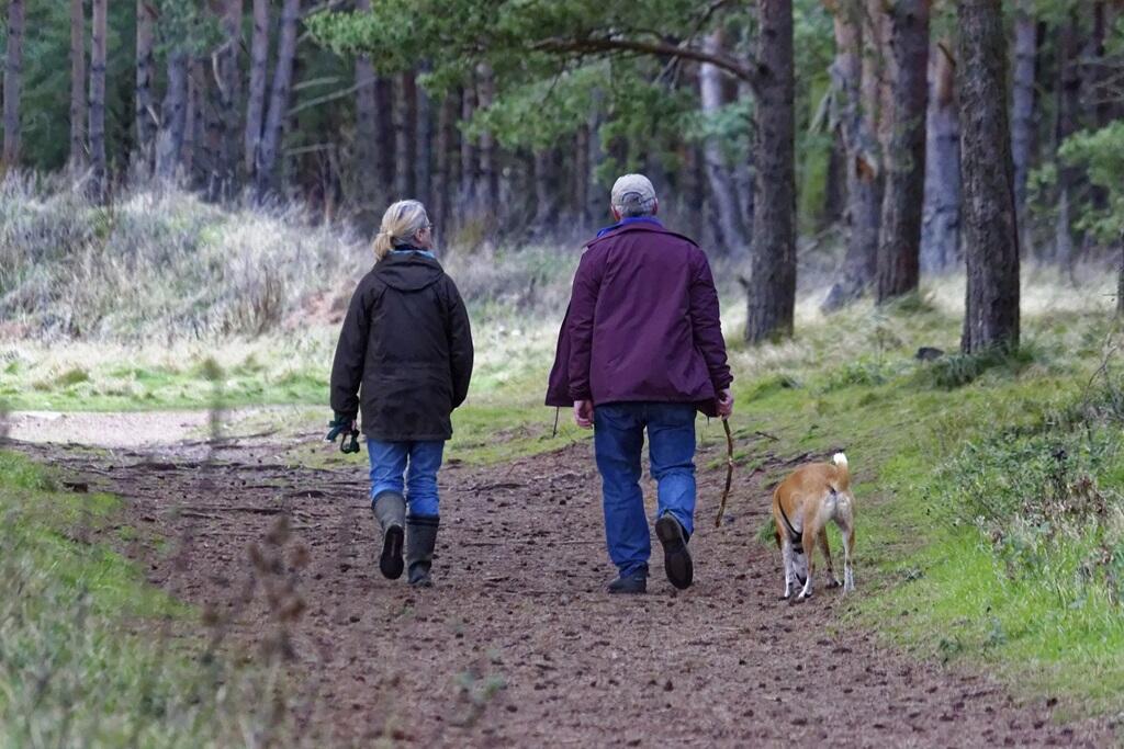 Enjoy country walks