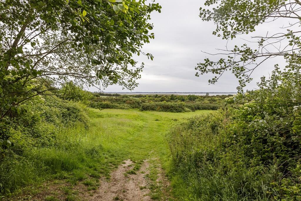 Enjoy the local green open spaces