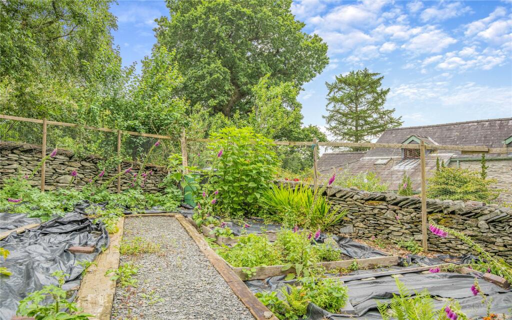 Vegetable Garden