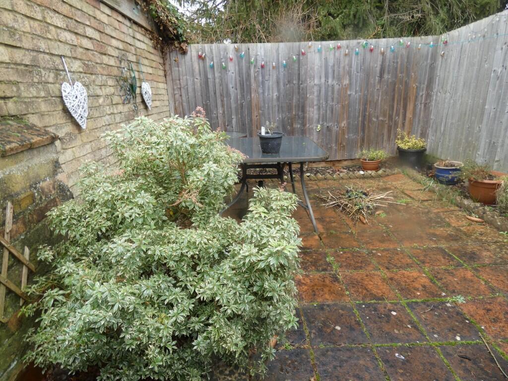 Courtyard Garden