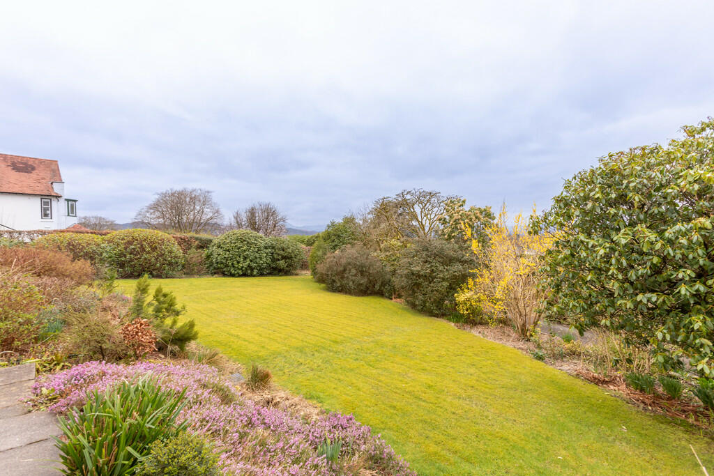 Communal Garden