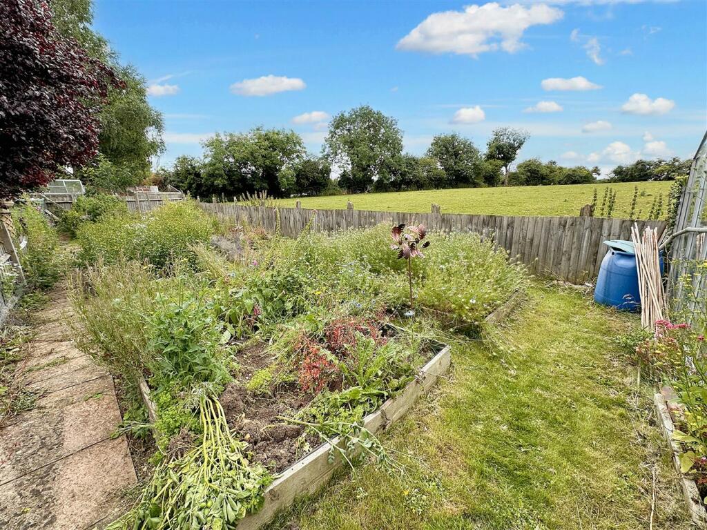 Vegetable Garden.jpg