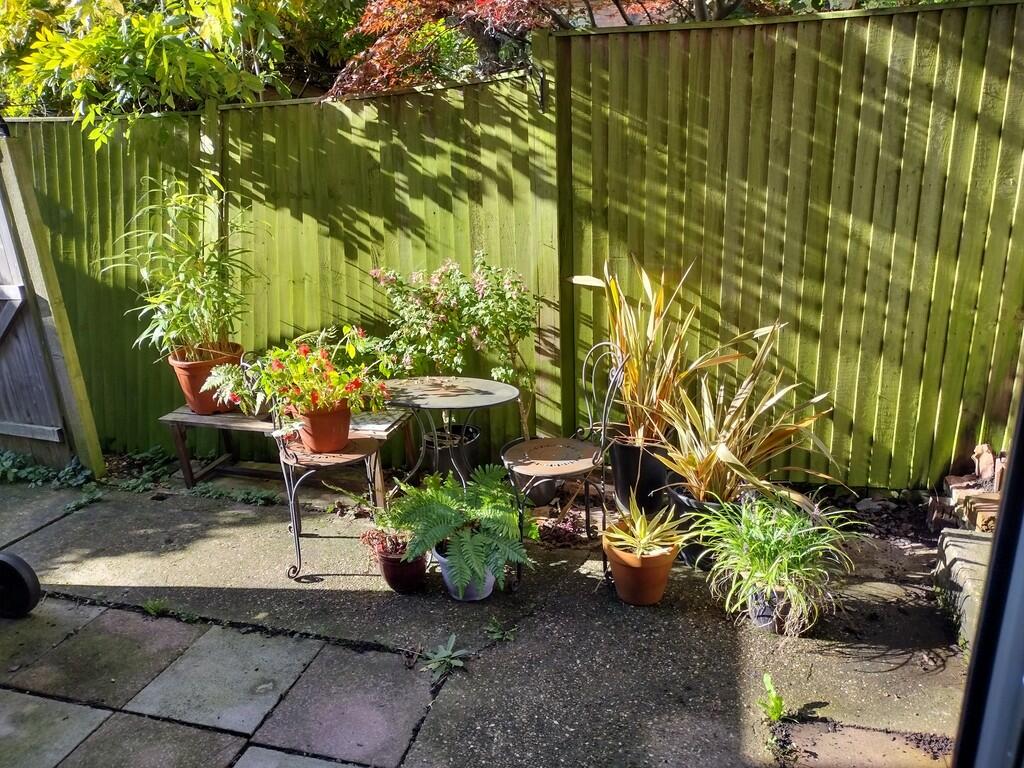 new garden