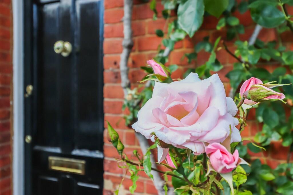 Front door