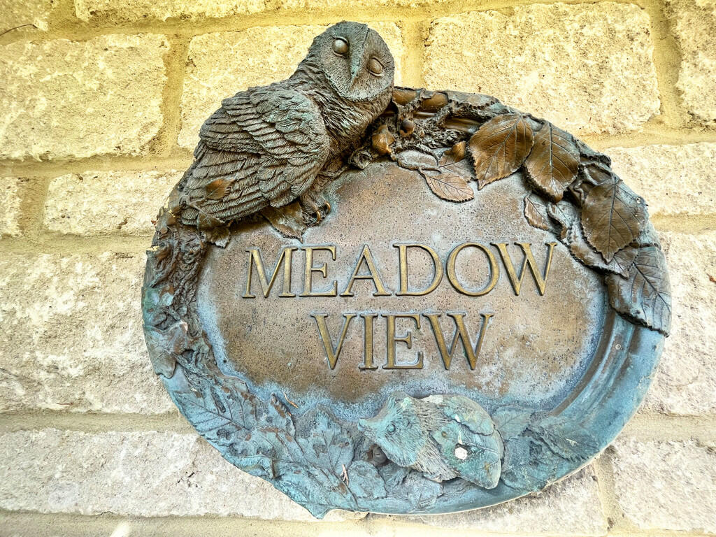 Meadow View