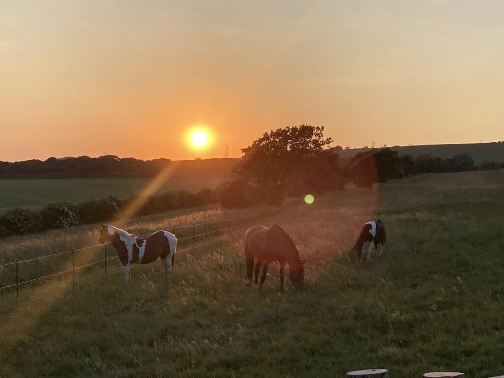 Land Parcels, The Old Racecourse, Lewes, BN7 1UR